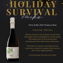 Load image into Gallery viewer, Holiday Survival Packs