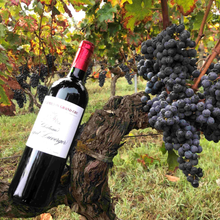 Load image into Gallery viewer, Château Capet Duverger, Saint-Émilion Grand Cru