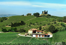 Load image into Gallery viewer, La Gironda, la Gena, Barbera d'Asti