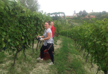 Load image into Gallery viewer, La Gironda, la Gena, Barbera d'Asti