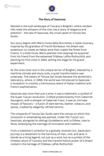 Load image into Gallery viewer, Tenuta San Guido, 2022 Sassicaia