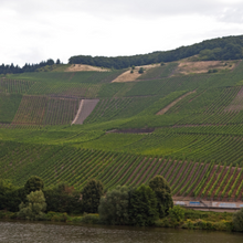 Load image into Gallery viewer, Andreas Bender, Kulina, 2024 Blanc de Noir