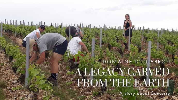 Domaine du Carrou: A Legacy Carved from the Earth