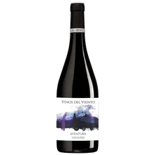 Load image into Gallery viewer, Vinos del Viento Mixed 6-Pack
