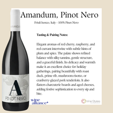 Load image into Gallery viewer, Corporate Collection: Artisan Wine &amp; Cheese Basket
