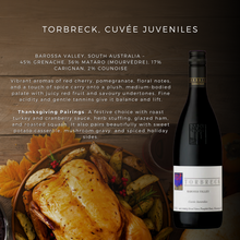 Load image into Gallery viewer, Thanksgiving Survival Pack!
