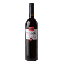 Load image into Gallery viewer, Coloma, Graciano Selección
