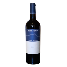 Load image into Gallery viewer, Serafini &amp; Vidotto, Pinot Nero
