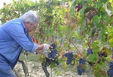 Load image into Gallery viewer, La Gironda, la Gena, Barbera d'Asti
