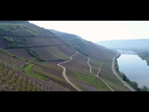 Andreas Bender, Kulina, Pinot Noir