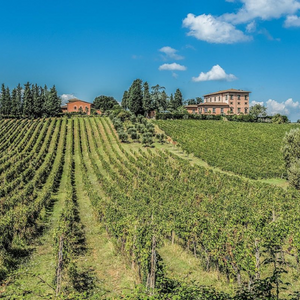 Villa Mangiacane, Chianti Classico - Vine Styles Exclusive